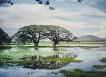 Ramayana Trails Sri Lanka Tour - 7 Days