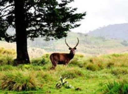 Family Holidays in Sri Lanka - 10 Days Tour