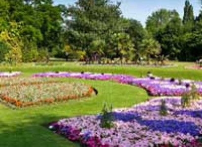 Sri Lanka Honeymoon Tour - 10 Days