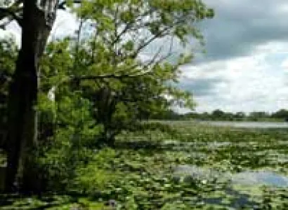 Sri Lanka Wildlife Tour - 10 Days