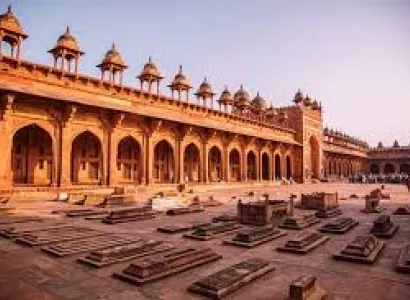 Wild Life Inbound Tour