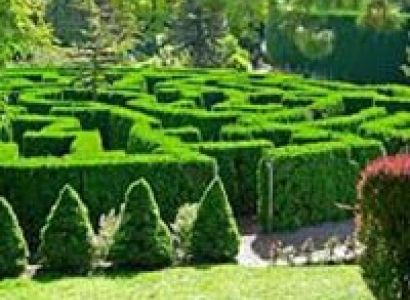 Coonoor with Ooty  Tour