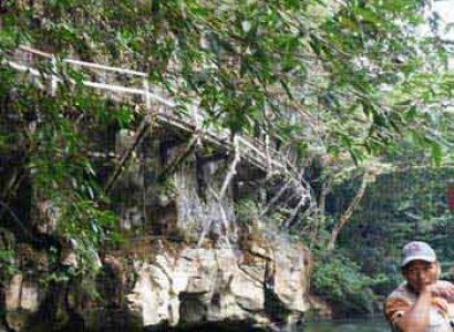 Taman Negara National Park Package