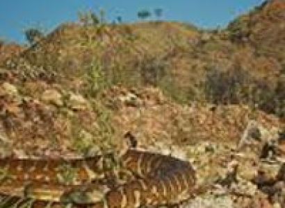 Fascinating Australia Tour