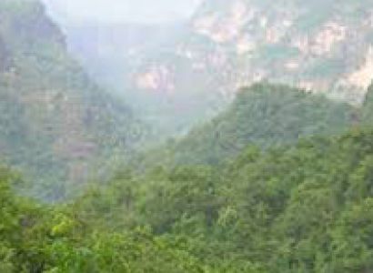 3 Days Wayanad Tour with Vythiri Tree house