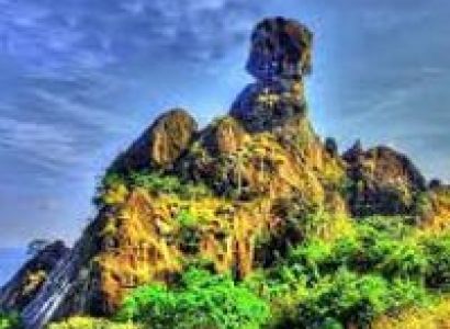 Kerala Delight with Family 5nights/6days Tour