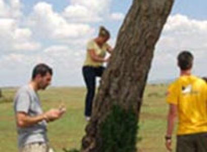 5 Nights 6 Days Maasai Mara/ Lake Nakuru and Amboseli Safari. Tour