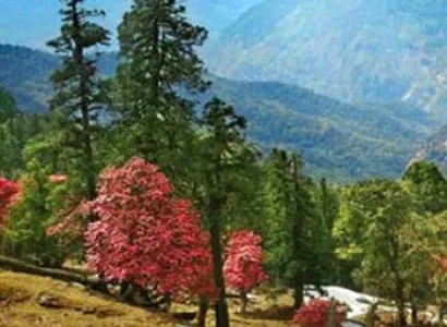 Blissful Nainital Ranikhet Tour Package From Delhi