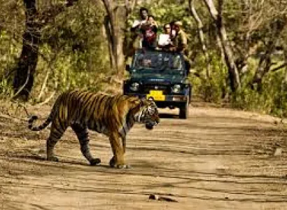 Delhi –mussoori (2n)-corbett(2n)-nainital(2n)- Delhi Tour