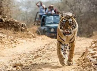Safari Corbett Tour
