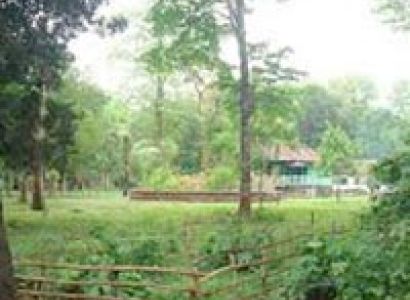 Beach and Coral Tour