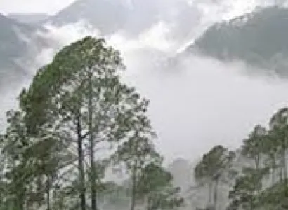 Delhi - Mussoorie - Dehradun - Delhi Tour