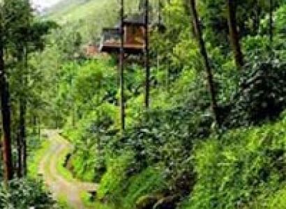 Coorg - 3 nights / 4 days Tour