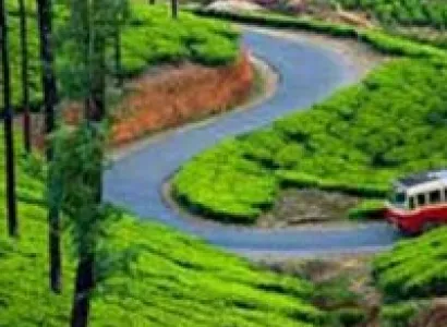 Bangalore-Mysore-Ooty Bus Package