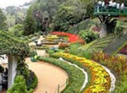 Mysore-ooty 3n4d Bus Package