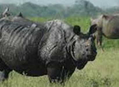 Assam - Meghalaya Deluxe Package