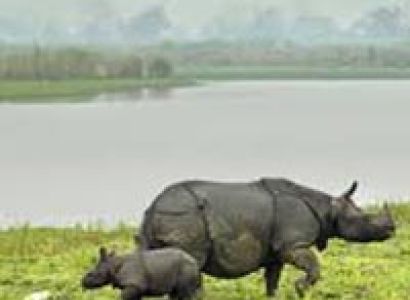 Assam Meghalaya Package