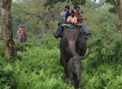 Jaldapara With Lataguri Tour