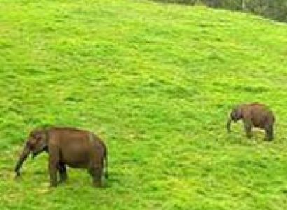 Kerala Coconut Experience Package