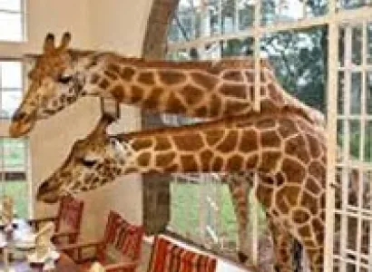 The secrets of Kenya safari Package