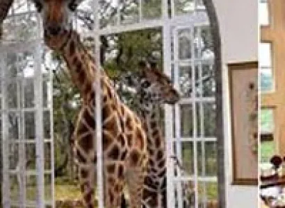 Kenyan warriors and wildlife Package