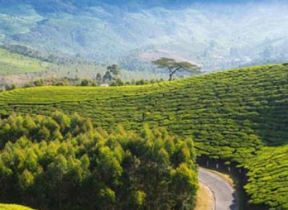 Hill Stations in South India Tour