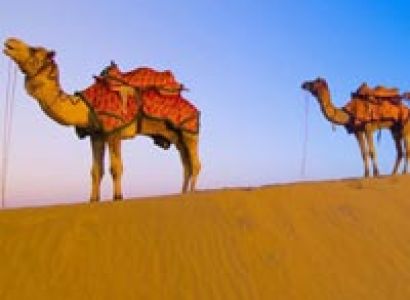 Rajasthan Tour