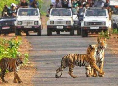 Short Escape to Pench Tour