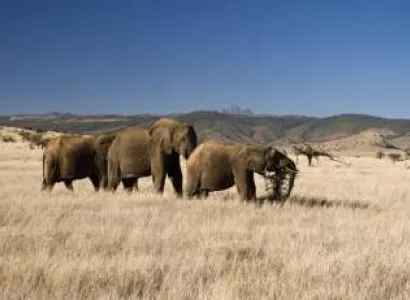 Highlights of Kenya Tour