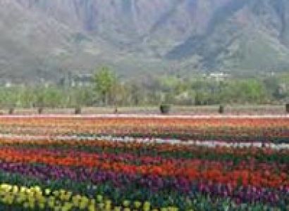 Magical Kashmir 2 Days Tour