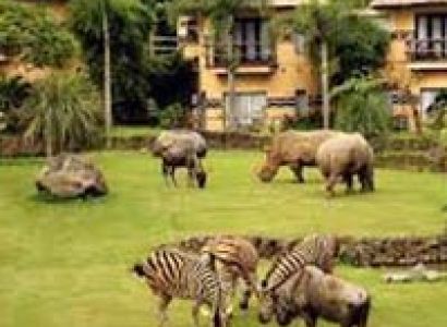 Simply Thailand Tour