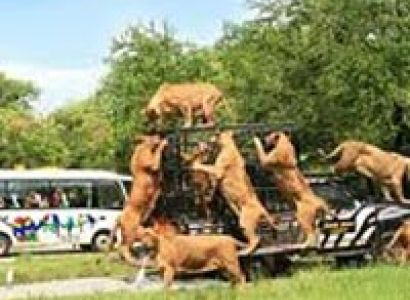 Simply Thailand Package