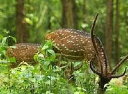 Kerala package 07 Nights / 08 Days