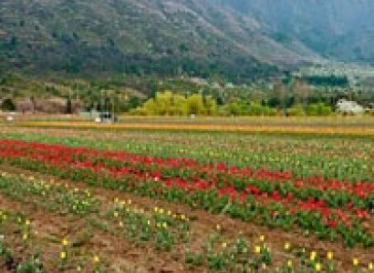 Kashmir - E - Kashmir Tour