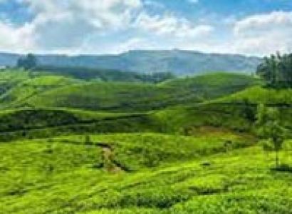 3 Days Wayanad Tour with Vythiri Tree house