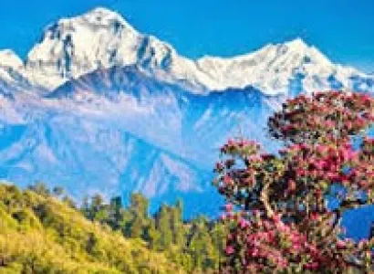Nepal 6 Nights / 7 Days Tour