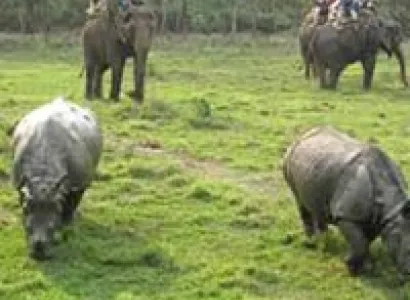 Nepal 7 Nights / 8 Days Tour