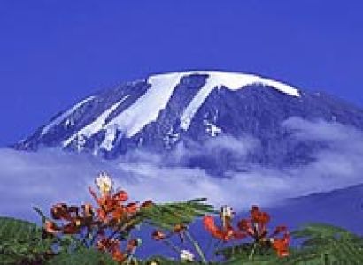Kilimanjaro climbing Tour