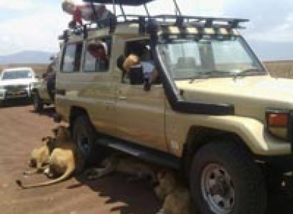 Tanzania Safari Tour