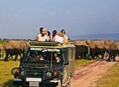 7 Day Safari Ngorongoro, Serengeti Manyara Tour