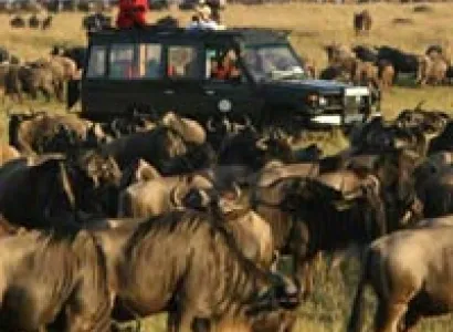 10 Day Serengeti Wildebeest Migration Tracking Tour
