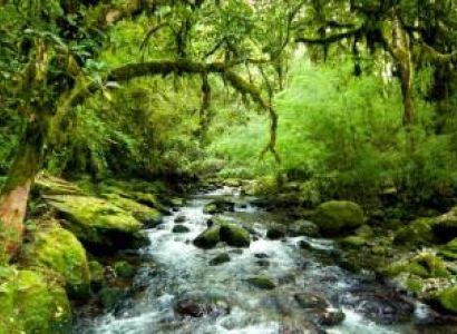 Neora Valley & Silk Route Tour