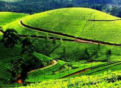 Darjeeling Tour Package 03 Night 04 Days