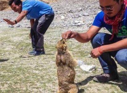 Hemis Festival and Leh Tour