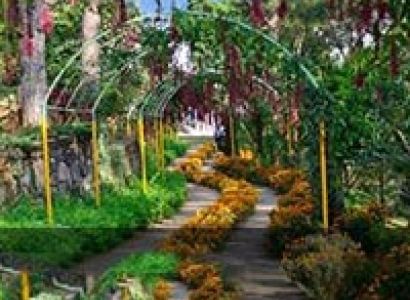 Assam Meghalaya Tour