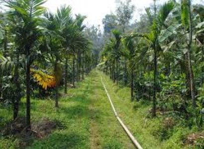 Coorg Monsoon Package