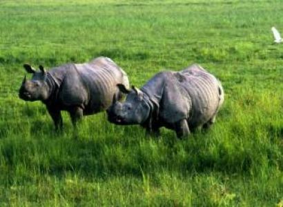 Jewels of North East Tour