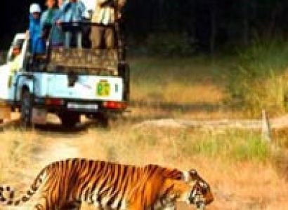 jim corbett packages