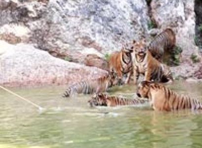 jim corbett national park Tour