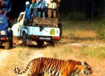 jim corbett national park resorts Tour